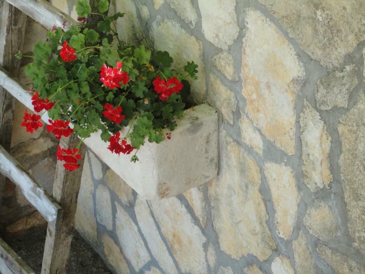 Apartments Ema سالي المظهر الخارجي الصورة